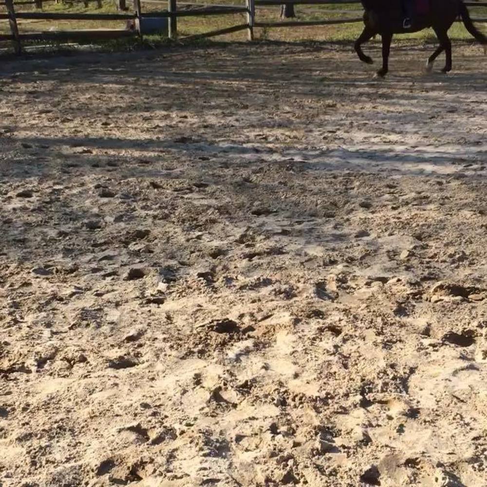 Meet your Posher, Alexa